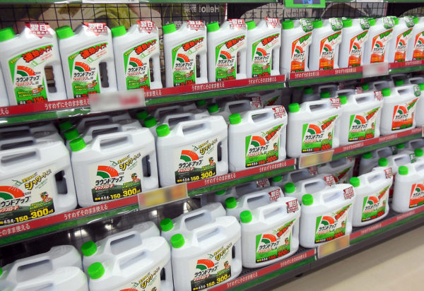 猛毒除草剤 米モンサント社製ラウンドアップ 発がんリスク「４１％増」の研究結果も | 長周新聞