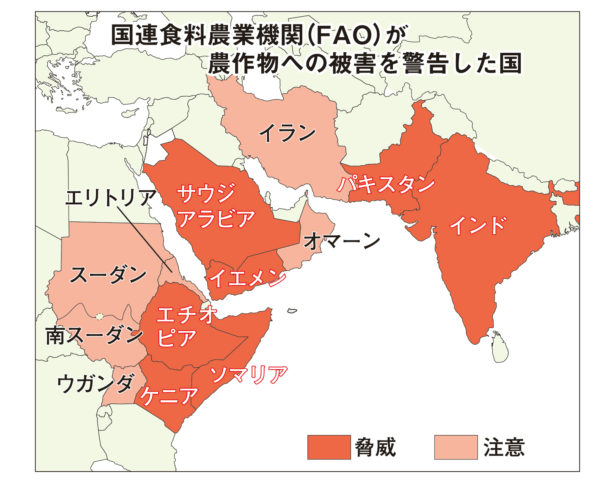 バッタ 大量 発生 2020 地図