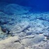 海底レアメタル・レアアース開発は目前か!? 最先端の国際交渉の状況報告 アジア太平洋資料センター・田中滋