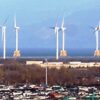 北海道のメガソーラーと大規模風力問題をどう解決するか　日弁連が公開学習会　函館や白老の住民運動報告