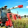 米価暴落し生産者の経営直撃　国は主食の安定供給に責任持て　農家守る所得補償が急務